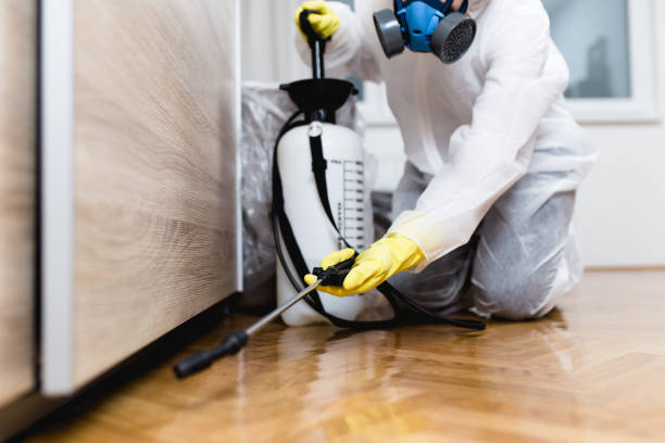 Best Best Pest Control Companies  in Hamilton City, CA