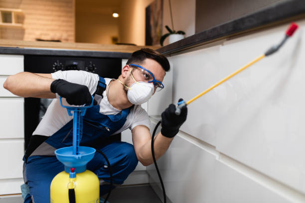 Best Commercial Pest Control Services  in Hamilton City, CA