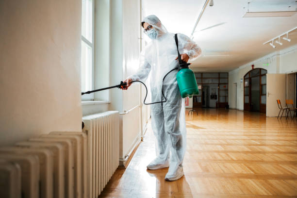Best Exterminator Services  in Hamilton City, CA